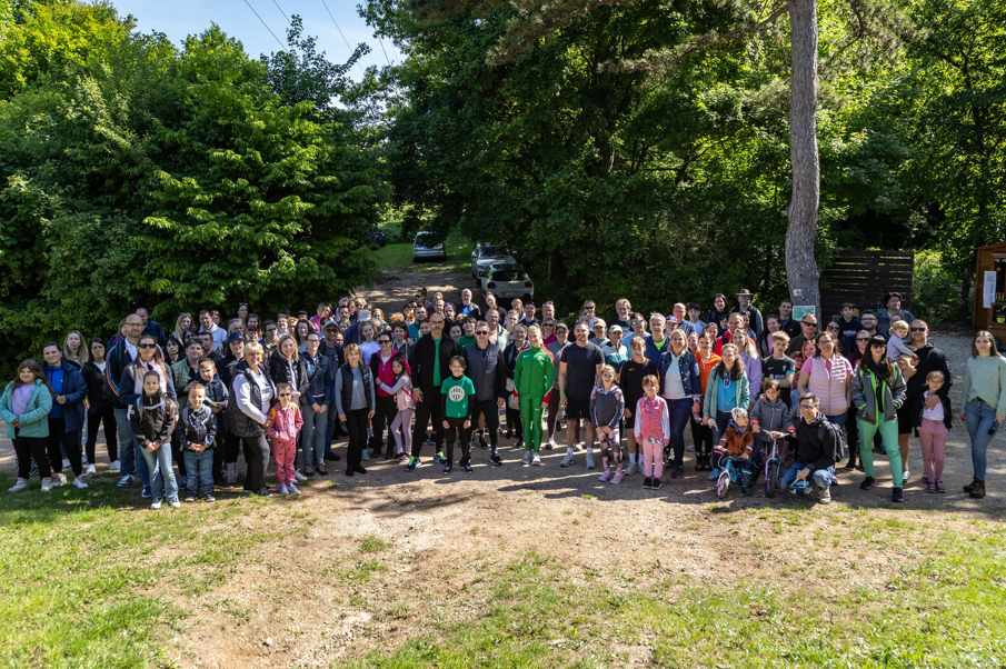 A Provident ismét fát ültetett – Környezetvédelmi akció a Budakeszi Vadasparkban