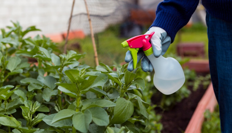 Rovarirtás házilag - Ezek a házi szerek tényleg működnek!
