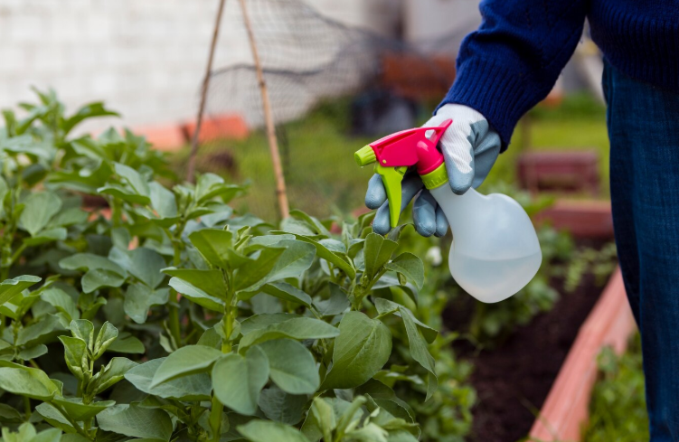 Rovarirtás házilag - Ezek a házi szerek tényleg működnek!